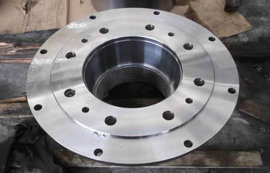 La resistenza di torsione ha forgiato le flange d'acciaio del giunto le flange/DN300 per Electric Power